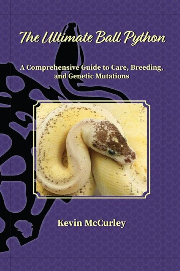Hamster X: A Comprehensive Guide to Understanding the Ultimate Pet